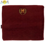 پشت-کمری-خودرویی-هوشمند1