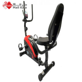 دوچرخه ثابت پاندا مدل B352R