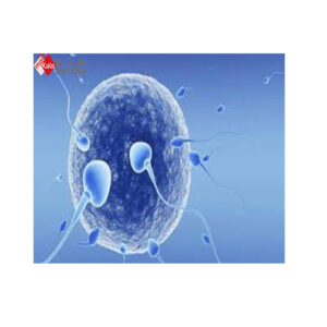 ناباروری در آقایان