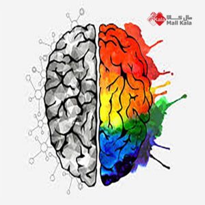 تست هوش هیجانی