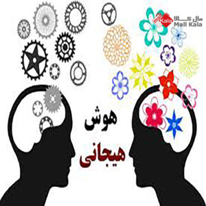 هوش هیجانی چیست