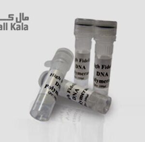 High-Fidelity DNA Polymerase برند KBC