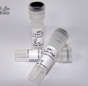 Turbo Pfu Polymerase