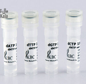 باز های سازنده DNA