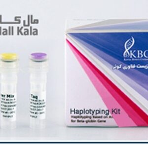 کیت تعیین هاپلوتایپ