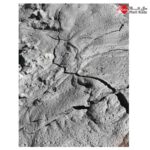 تهیه پودر آهن