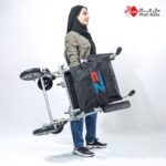 ویلچر همراه ایزی موبیل