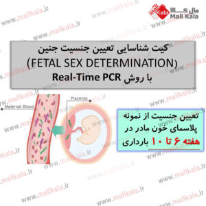 کیت شناسایی تعیین جنسیت جنین