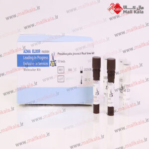کیت ریل تایم تشخیص PCR